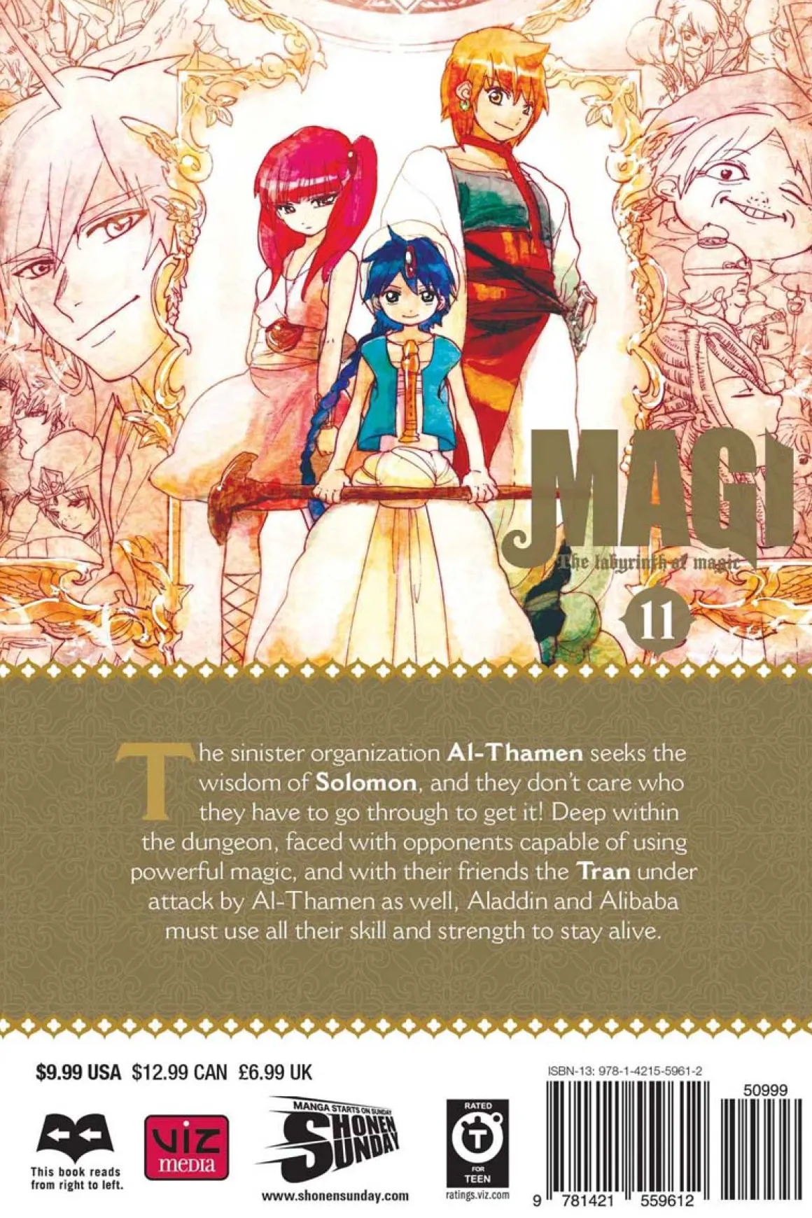 Magi Manga Volume 11