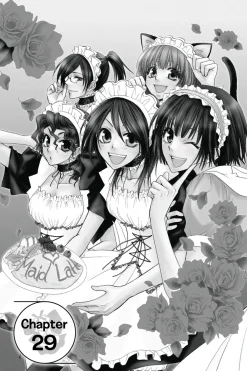 Maid-sama! 2-in-1 Edition Manga Volume 4