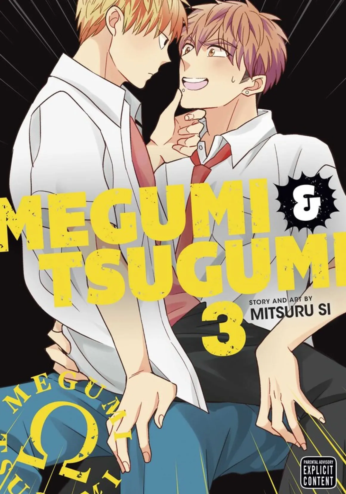 Megumi & Tsugumi Manga Volume 3