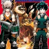 My Hero Academia Manga Volume 13