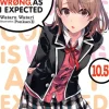 My Youth Romantic Comedy Is Wrong, As I Expected Novel Volume 10.5