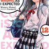 My Youth Romantic Comedy Is Wrong, As I Expected Novel Volume 12