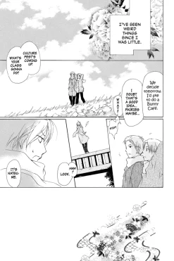 Natsume's Book of Friends Manga Volume 8