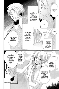 Natsume's Book of Friends Manga Volume 19