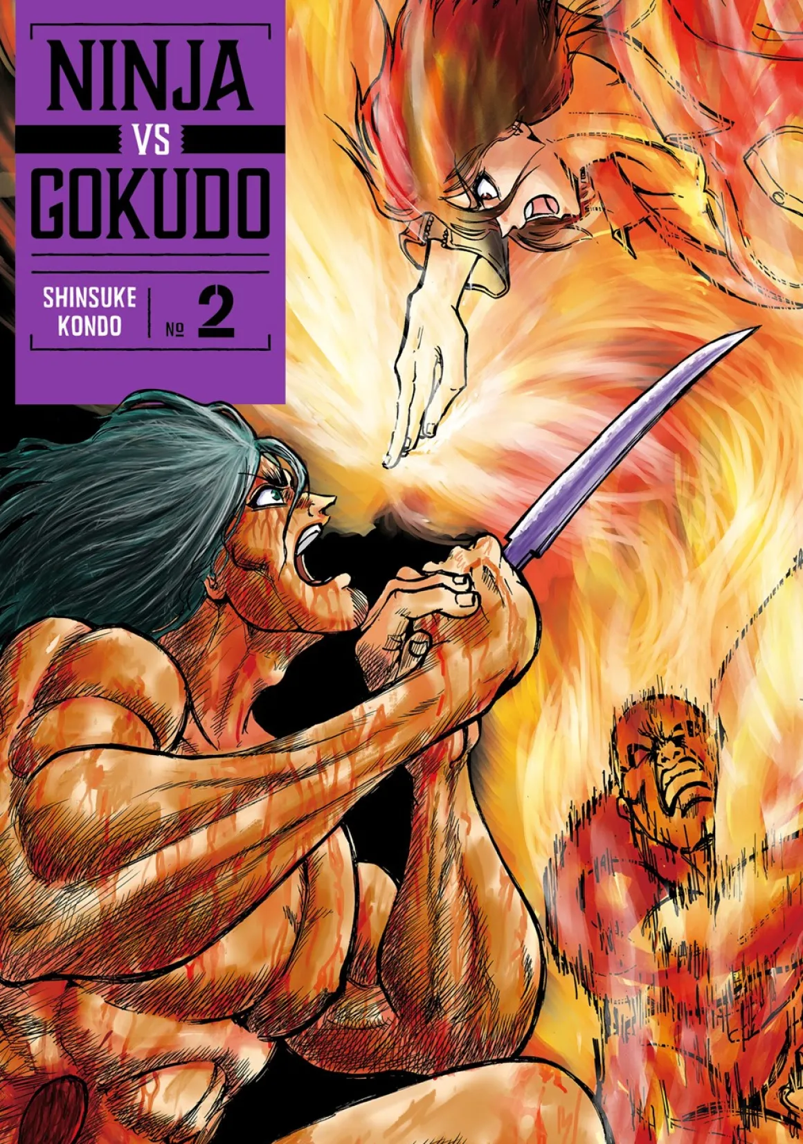 Ninja Vs. Gokudo Manga Volume 2