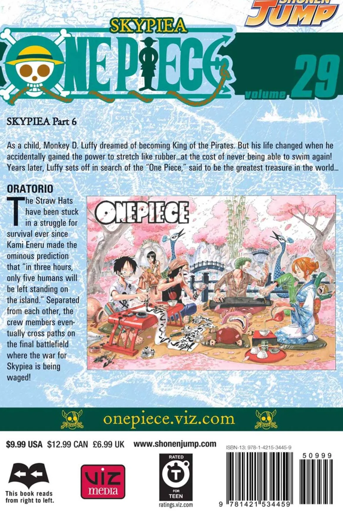 One Piece Manga Volume 29