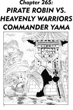 One Piece Manga Volume 29
