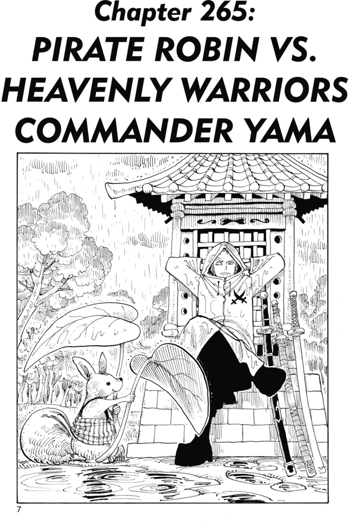 One Piece Manga Volume 29