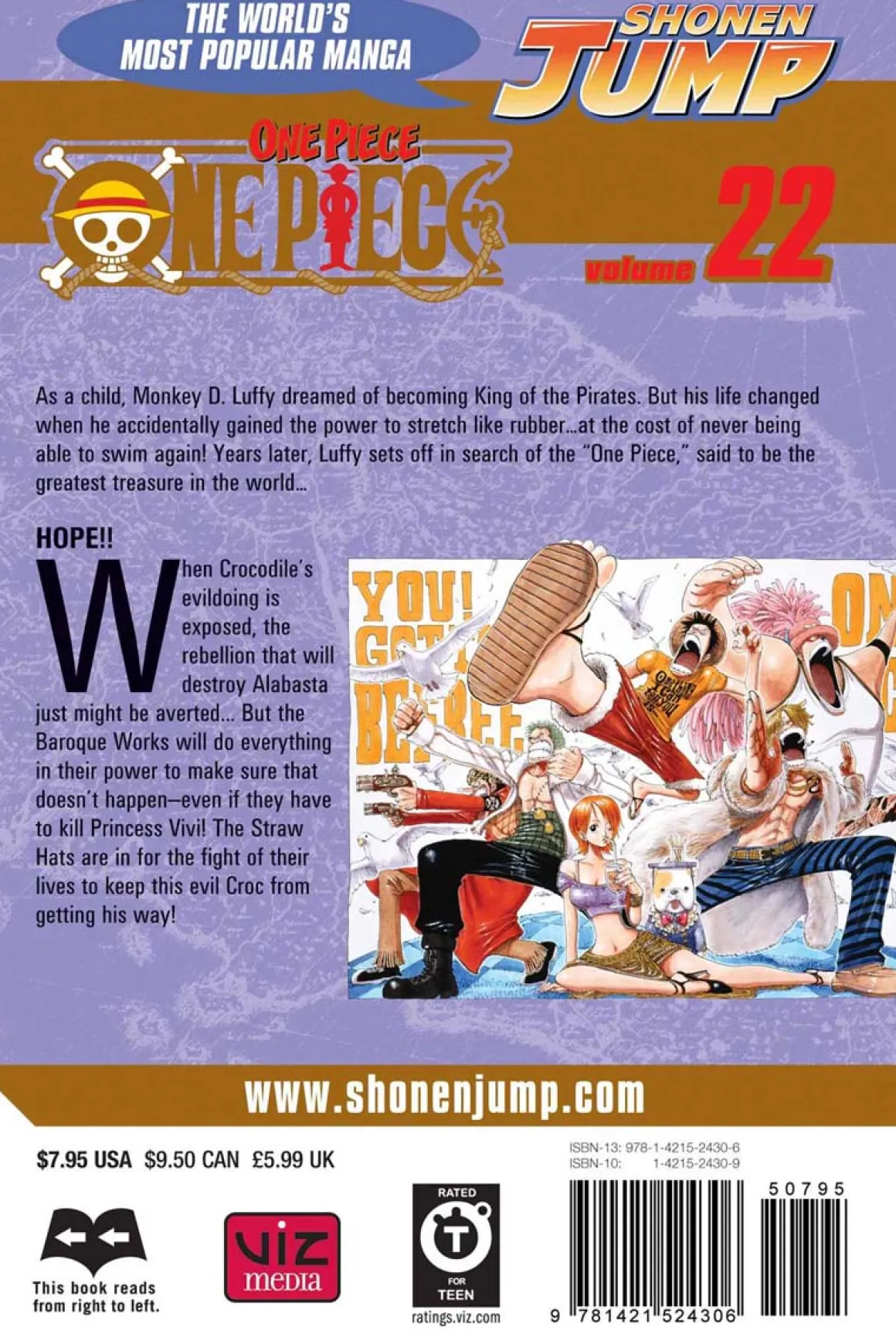 One Piece Manga Volume 22
