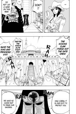 One Piece Manga Volume 22