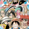 One Piece Manga Volume 51