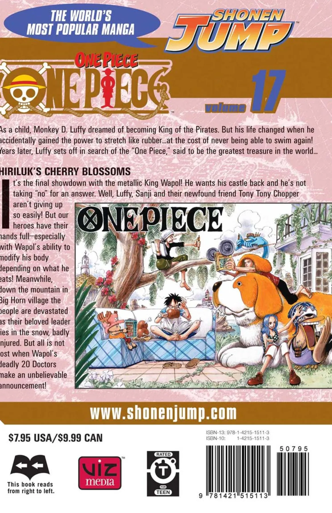 One Piece Manga Volume 17