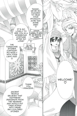 Ouran High School Host Club Manga Volume 13