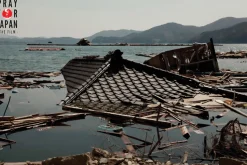 Pray For Japan - Movie - DVD