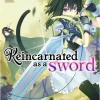 Reincarnated as a Sword Novel Volume 2