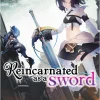 Reincarnated as a Sword Novel Volume 11