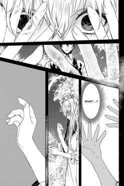 Rosen Blood Manga Volume 1