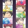 Shonen Hollywood - Holly Stage For 49 Season 2 - DVD
