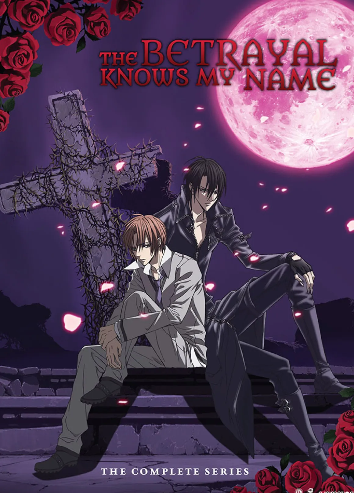 The Betrayal Knows My Name - The Complete Series - DVD