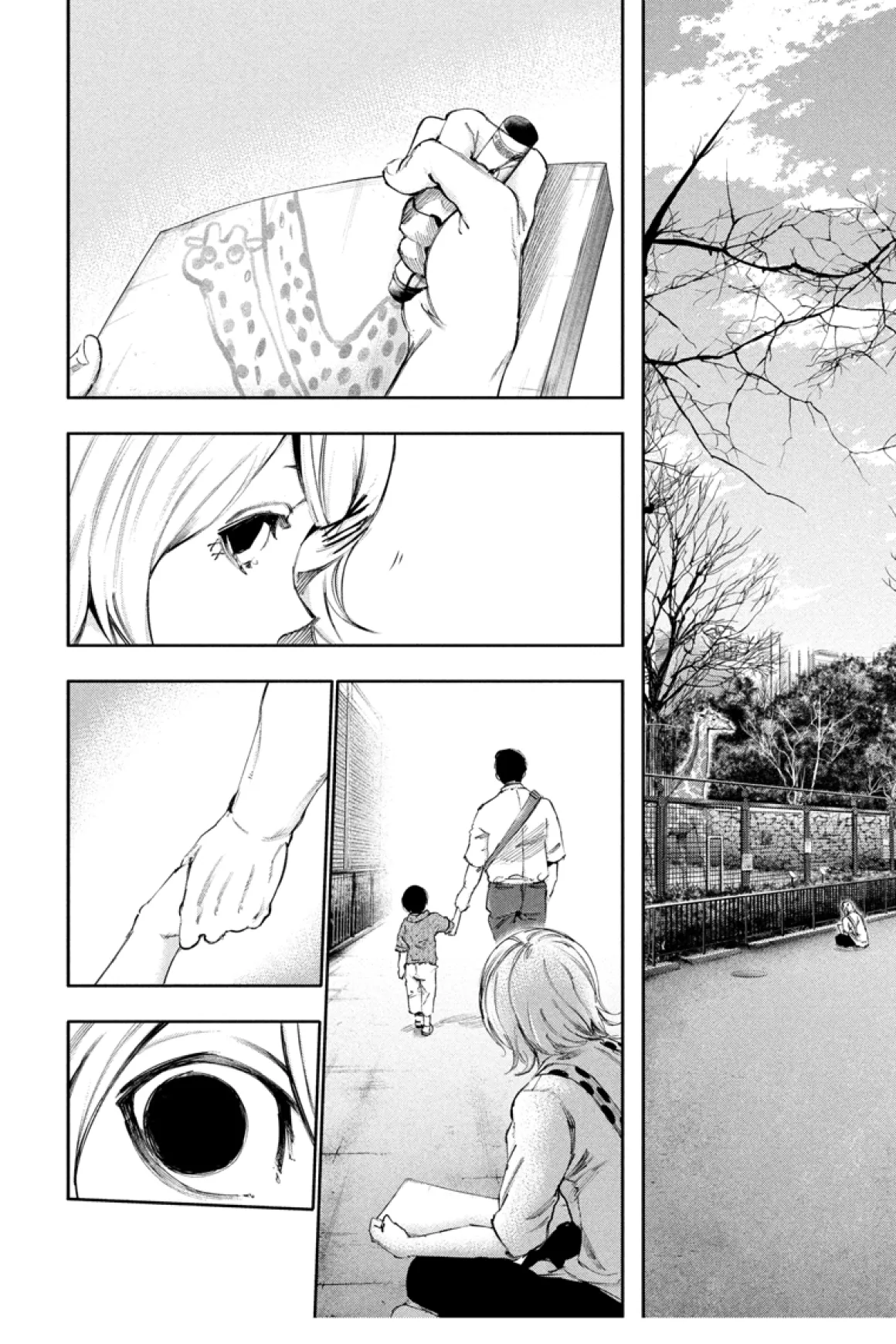 Tokyo Ghoul Manga Volume 13