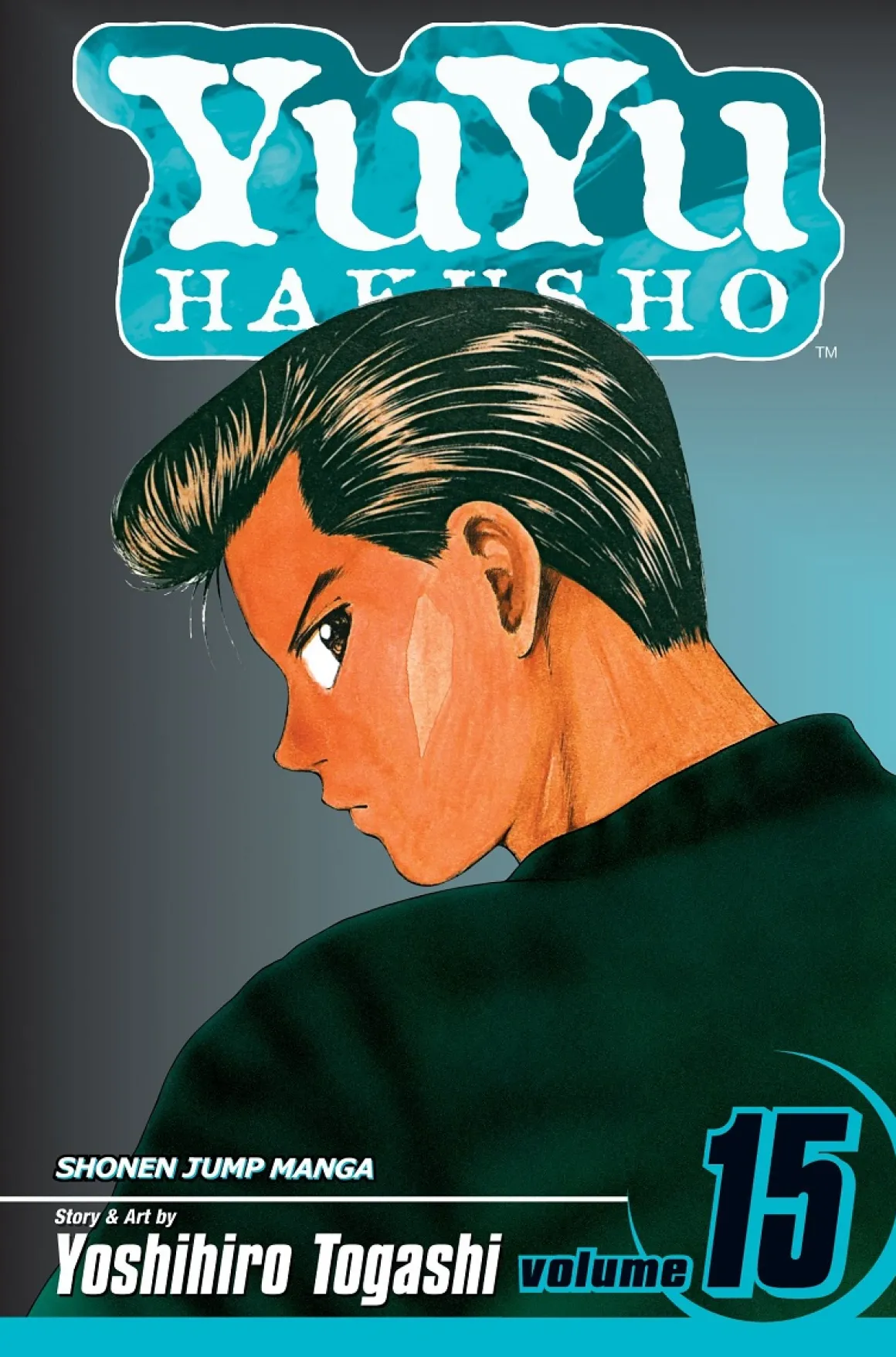 Yu Yu Hakusho Manga Volume 15